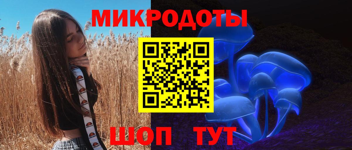 Галлюциногенные грибы мицелий Кингисепп