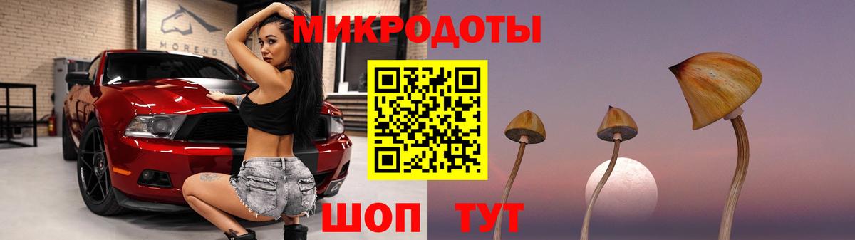 Кингисепп  Псилоцибиновые грибы мухоморы  Вход с VPN 