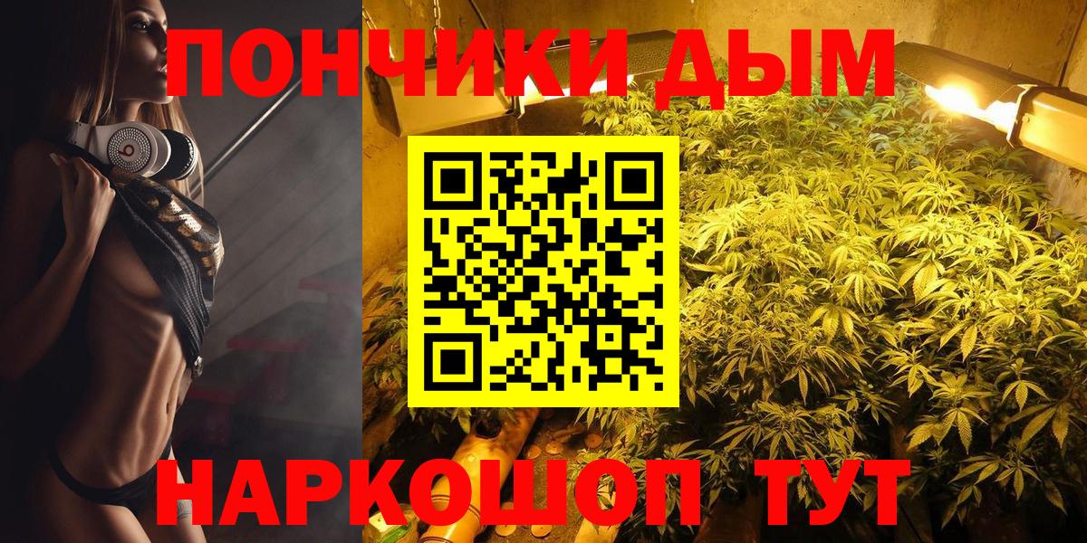 Кингисепп  Канабис сатива  Вход с VPN  Бошки марихуана планчик 