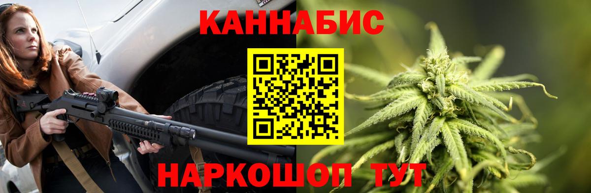 Каннабис OG Kush Кингисепп